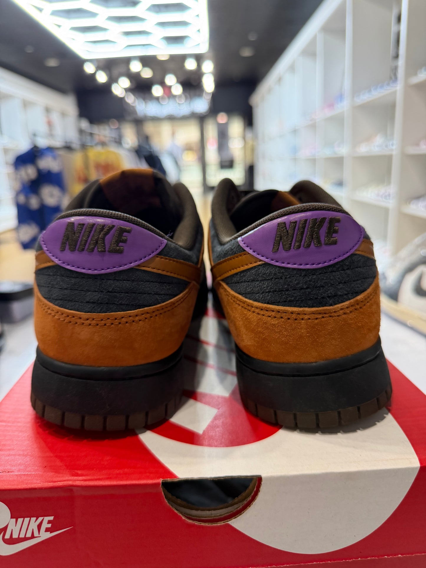 Dunk Low Cinder PRE-OWNED