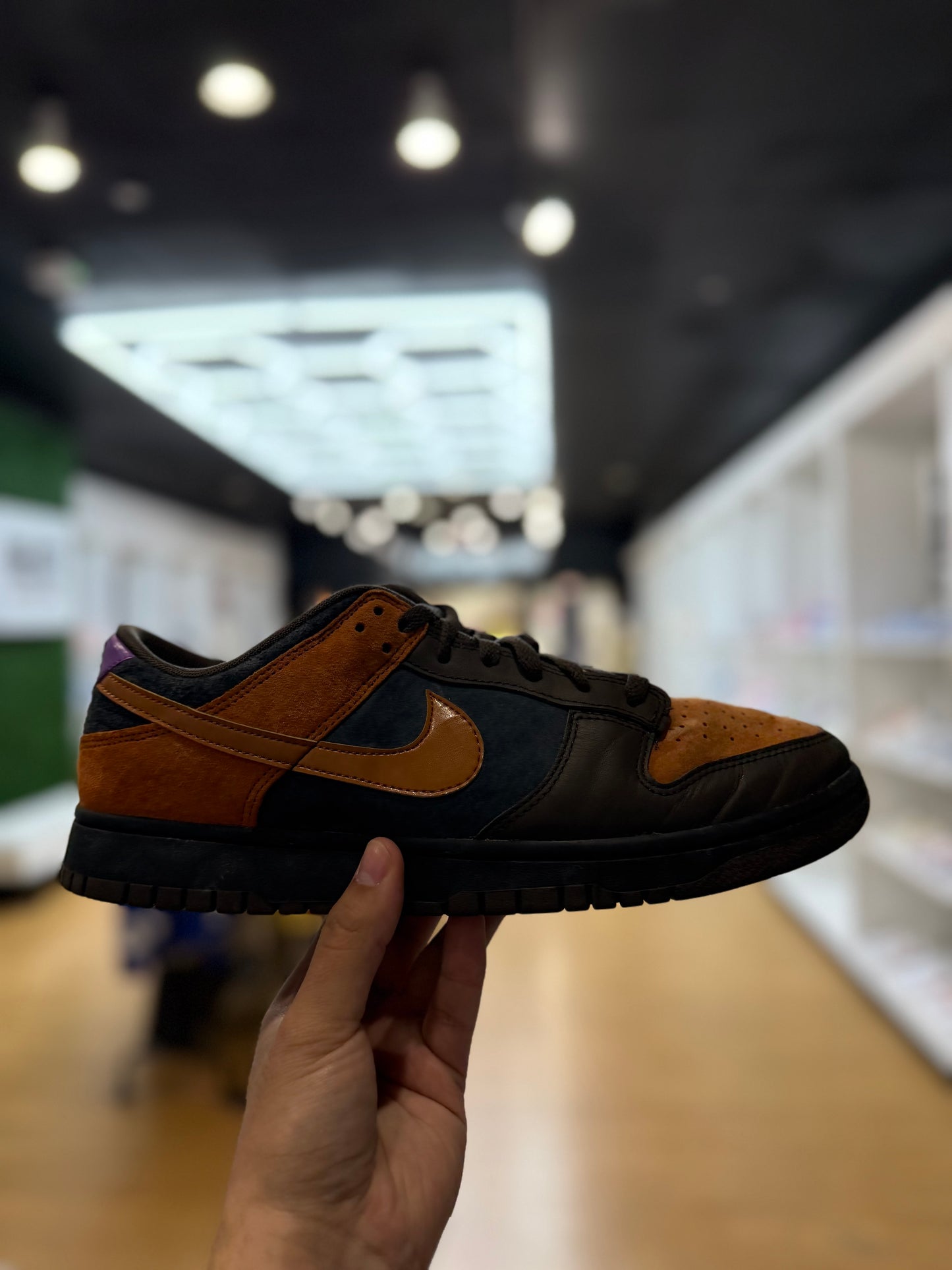 Dunk Low Cinder PRE-OWNED