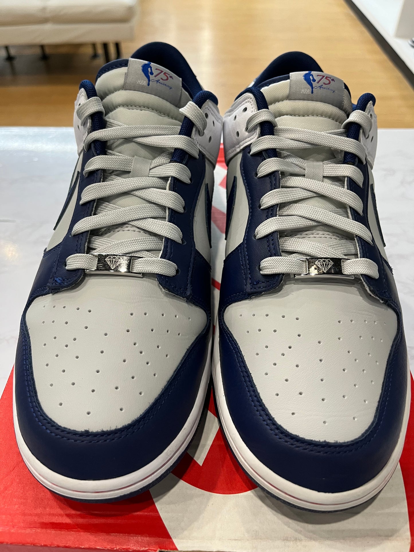 NBA x Dunk Low EMB 75th Anniversary - NetsPRE-OWNED