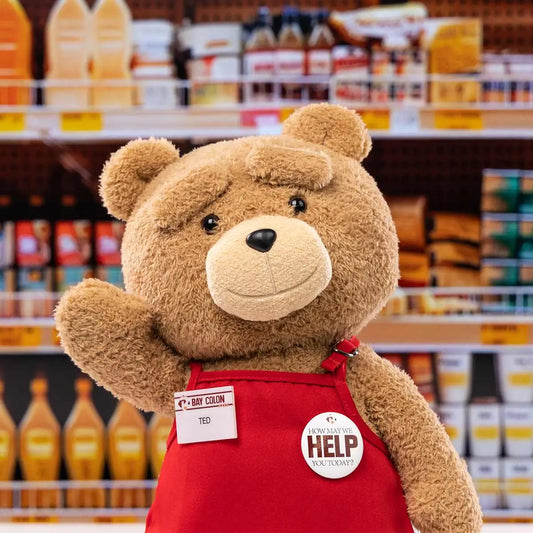 Pop Mart Ted2-ted Action Plush Figure