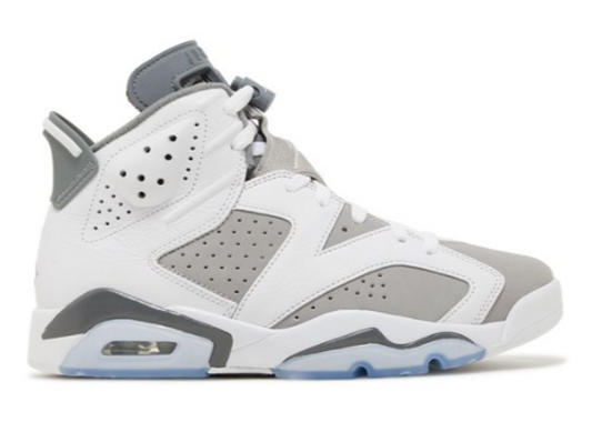 Jordan 6 Retro Cool Grey PRE-OWNED